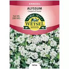 ALYSSUM, CARPET OF SNOW 280 MG