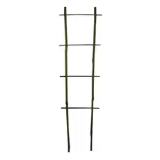 Bamboo Supply 24" Bamboo Flair Trellis 100/BD