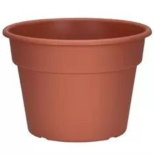 DLN 10.00 COLOR POT 1 CL 58/CS 32CS/PL