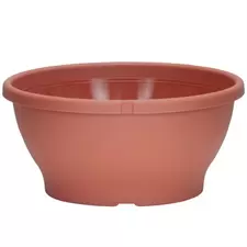 DLN 10.00 COLOR BOWL CL 82/CS 34CS/PL