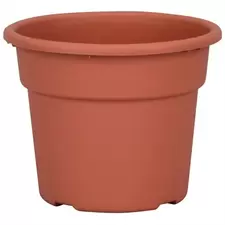 DLN 06.00 COLOR POT TL CL 98/CS SEASONAL 66CS/PL