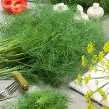 Dill, Fernleaf 1/4 oz