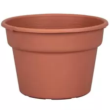 DLN 08.00 COLOR POT TL CL 58/CS 60CS/PL