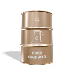 2022 Gas - 13