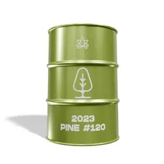 2023 Pine - 120