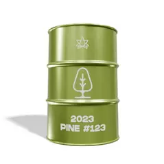 2023 Pine - 123