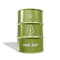 Pine - 37