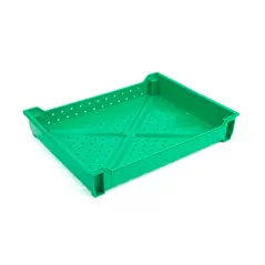 Non Divided Berry Tray