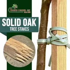 Tree Stakes Edrich Lumber - Pack Of 12