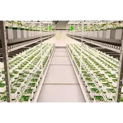 Racks and Shelving Options: Versatile Storage Solutions by BMH