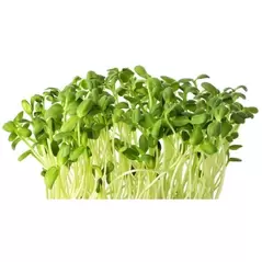 Formulated Plant Food