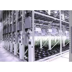 Multi-Tier Mobile Grow Racks