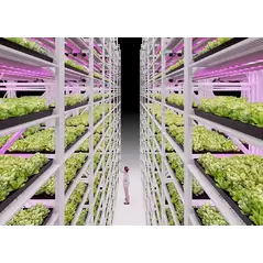 Vertical Grow Shelving for Leafy Greens and Microgreens