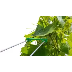 2" Biodegradable Green Clips - 1000 Pcs Per Bag