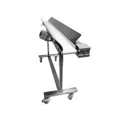 Mobius Infeed Conveyor