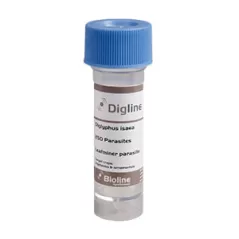 Digline - Vial - 250 Individuals