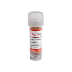 Phytoline - Vermiculite - 20000 Individuals - Bottle