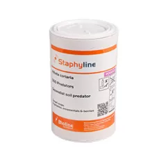 Staphyline - Tube - 500 Individuals - Atheta Coriaria