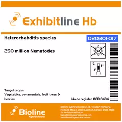 Exhibitline Hb -C - 250 Million Individuals - 1 Bag