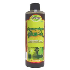 Organic Photosynthesis Plus Ok