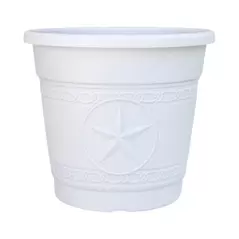 Liam Planter