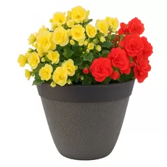 Crackle Planter