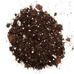 Bloom - Organic Heavy Feed Soil MixBloom - Organic Heavy Feed Soil Mix