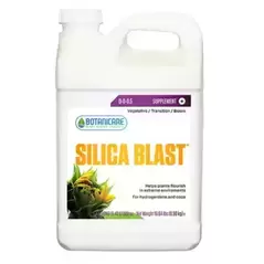 SILICA BLAST 2.5GAL