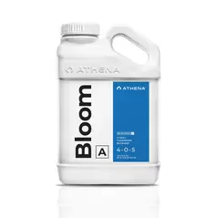 Bloom A - Athena