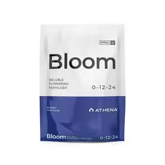 Bloom - Athena