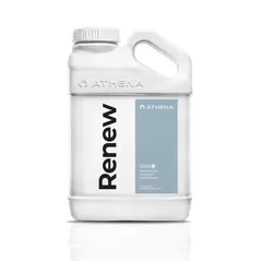 Renew - Athena