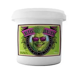 Big Bud Powder- Advanced Nutrients