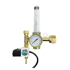 CO2 Regulator - The Protector