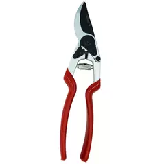 Pruning Shears - Extra Long Handle