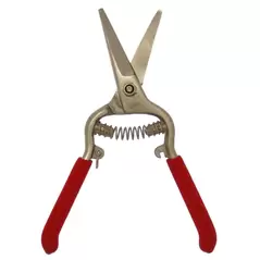 Needlenose Shear Grape 8-Inch