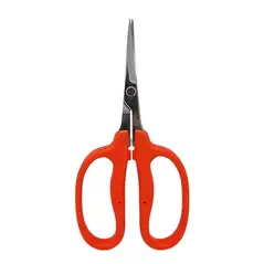 Curved MasaMasa Scissors
