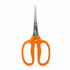 Straight Blade MasaMasa Scissors Orange