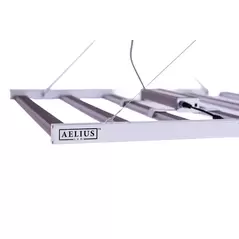Matrx REDD 3.0F - Aelius LED