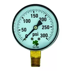 Dry Air Pressure Gauge - 300 PSI