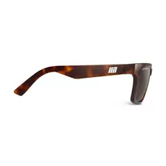 Evolution Sun Tortoise
