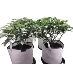 "Eclipse" Solar Shield Soil Protectors