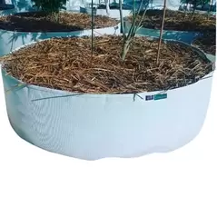 100 Gallon Grow Bag