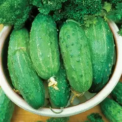 CUCUMBER, SMR58 1/2 OZ EACH
