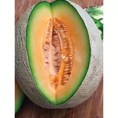 Cantaloupe , Edisto 47 - 1/2oz
