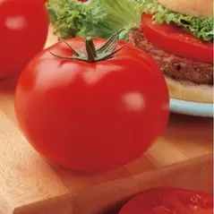 Tomato, Big Beef Untreated - 1,000 Sd Ct