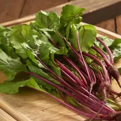 Beets, Bull'S Blood - 1/2oz