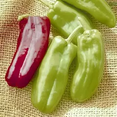 Peppers, Giant Marconi Treated - 100 Seed Count