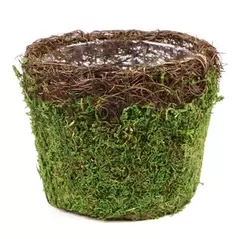 SuperMoss Med Deco Basket Vineyard Fresh Green