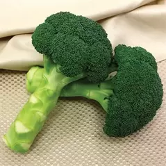 Broccoli, Green Magic - 1,000 Seed Count