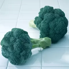 Broccoli, Diplomat Treated - 5,000 Seed Count